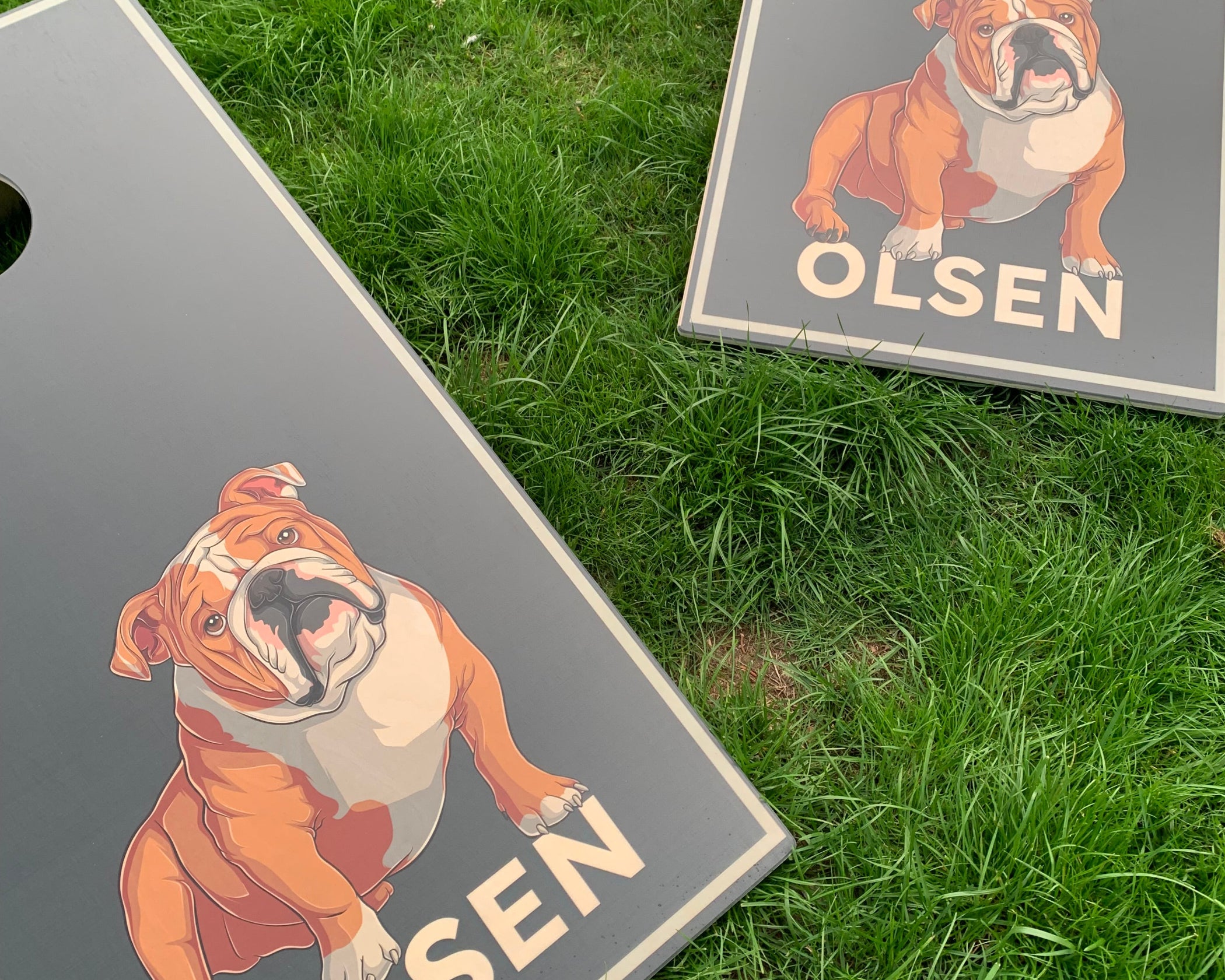 Flexy sectie afbeelding